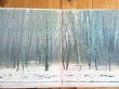 画像2: Bruce Cockburn / High Winds White Sky (2)