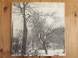 画像3: Bruce Cockburn / High Winds White Sky (3)