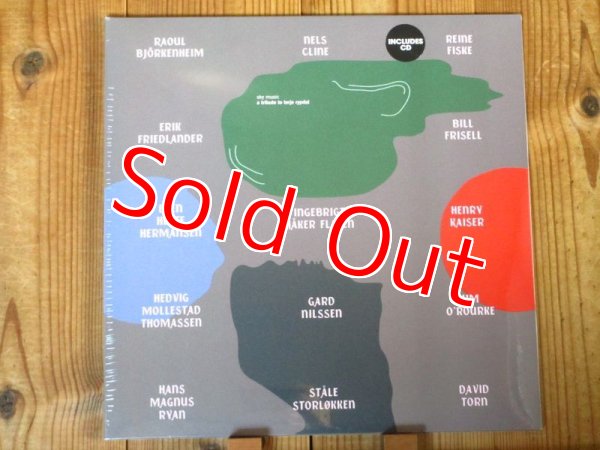 画像1: 総勢10人のギタリストが参加したテリエリピダルのトリビュート限定アナログ盤！■Bill Frisell(g), Jim O'Rourke(g), Nels Cline(g), David Torn(g), Henry Kaiser(g), Raoul Björkenheim(g), etc. - V.A. / Sky Music: A Tribute To Terje Rypdal (1)