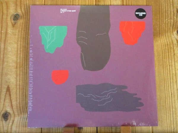 画像1: 再入荷！テリエリピダルのトリビュート限定アナログ第２弾！■Henry Kaiser(g), Even Helte Hermansen(g), Hans Magnus Ryan(g), Hedvig Mollestad Thomassen(g), Raoul Björkenheim(g), Reine Fiske(g), etc. - V.A. / Sky Music: A Tribute To Terje Rypdal Vol. 2 (1)