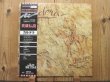 画像1: 高音質ハーフスピードカッティング！しかも白見本盤！■Caldera / 英雄伝説 ~ Dreamer (1)