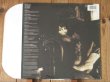 画像2: Al Di Meola / Scenario (2)