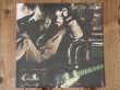 画像1: Al Di Meola / Scenario (1)