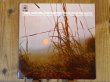 画像1: Hank Garland & Gary Burton / Three-Four The Blues (1)