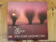 画像1: Attila Zoller / A Path Through Haze (1)
