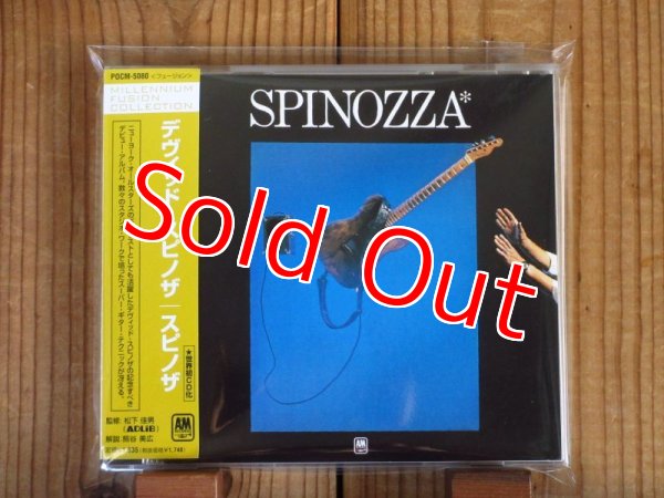画像1: David Spinozza / Spinozza (1)