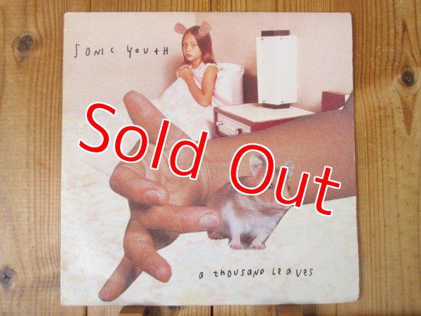 画像1: Sonic Youth / Thousand Leaves (1)