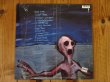 画像2: Dinosaur Jr / Where You Been (2)