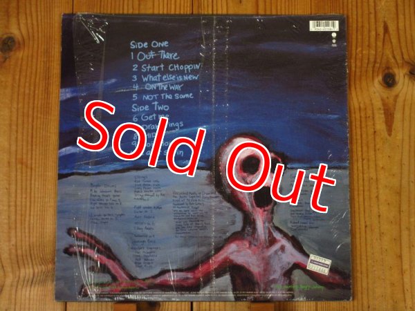 画像2: Dinosaur Jr / Where You Been (2)