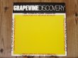 画像1: Chuck Loeb Quartet / Dedicated To George Benson (1)