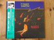 画像1: 高中正義 / Finger Dancin (1)