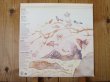 画像2: Shakti With John McLaughlin / Natural Elements (2)