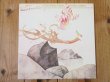 画像1: Shakti With John McLaughlin / Natural Elements (1)