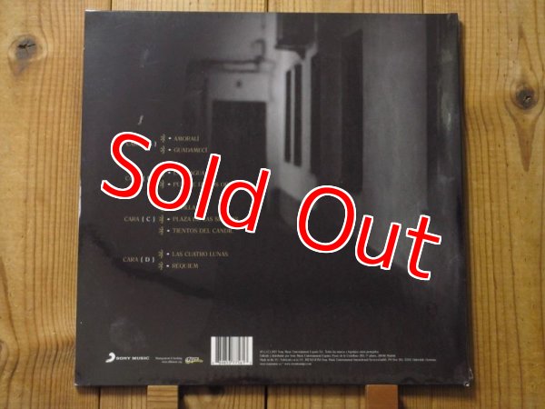 画像2: 希少LP！今や入手困難！再入荷！ビセンテアミーゴ通算８作目にあたるスタジオ・アルバム2017年作アナログ盤！■Vicente Amigo / Memoria De Los Sentidos (2)