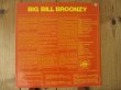 画像2: Big Bill Broonzy / Big Bill Broonzy (2)