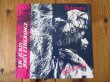 画像1: Vic Juris & John Etheridge / Bohemia (1)