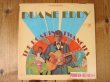 画像1: Duane Eddy / The Roaring Twangies (1)
