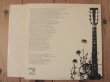 画像2: William Ackerman / In Search Of The Turtle's Navel - Guitar Solos (2)