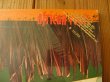 画像4: Skatalites / African Roots (4)
