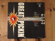 画像1: Al Caiola & Don Arnone / Great Pickin' (1)