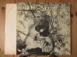 画像3: Tony Mottola / Warm Feelings (3)
