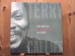 画像1: Terry Callier / The Best Of Terry Callier On Cadet (1)
