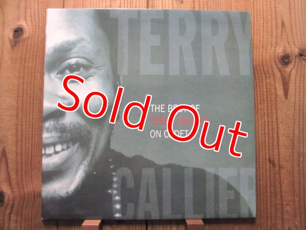 画像1: Terry Callier / The Best Of Terry Callier On Cadet (1)