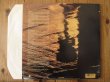 画像2: Larry Carlton / On Solid Ground (2)