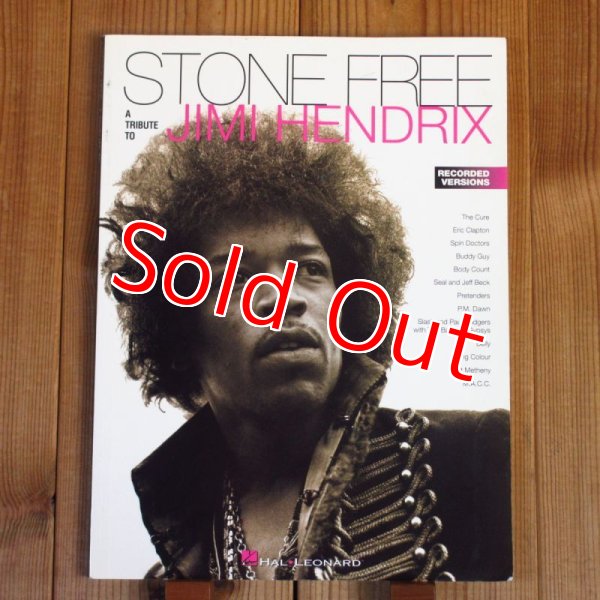 画像1: V.A. (Jeff Beck, Pat Metheny, Eric Clapton, Buddy Guy, Slash, Living Colour, etc.) / A Tribute To Jimi Hendrix - Stone Free (1)
