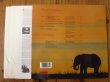 画像2: Al Di Meola / World Sinfonia (2)