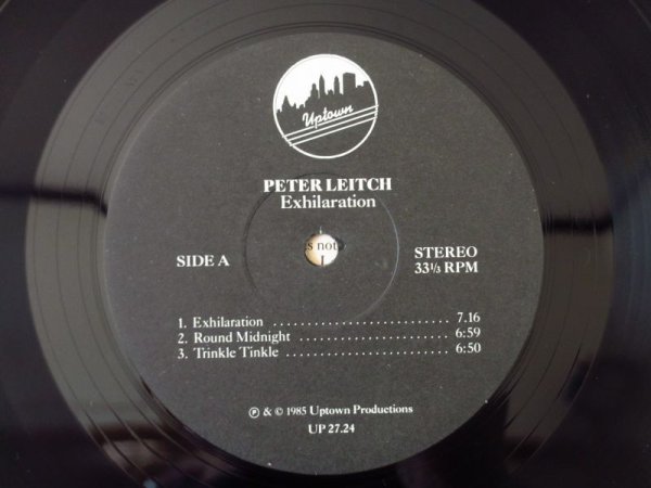 画像3: Peter Leitch / Exhilaration (3)