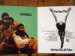 画像2: Funkadelic / Free Your Mind And Your Ass Will Follow (2)