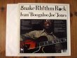 画像2: Ivan Boogaloo Joe Jones / Snake Rhythm Rock (2)