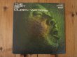画像1: Muddy Waters / The Best Of Muddy Waters (1)