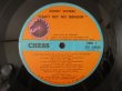 画像3: Muddy Waters / Can't Get No Grindin' (3)