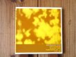 画像1: Loren Mazzacane Connors / Unaccompanied Acoustic Guitar Improvisations Vol. 1-9 1979-1980 (1)