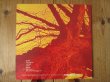 画像3: Wishbone Ash / Pilgrimage (3)