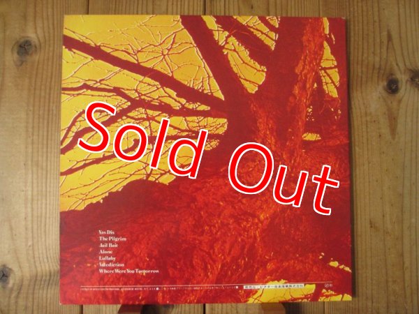 画像3: Wishbone Ash / Pilgrimage (3)