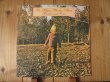 画像1: The Allman Brothers Band / Brothers And Sisters (1)