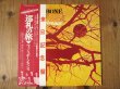 画像1: Wishbone Ash / Pilgrimage (1)