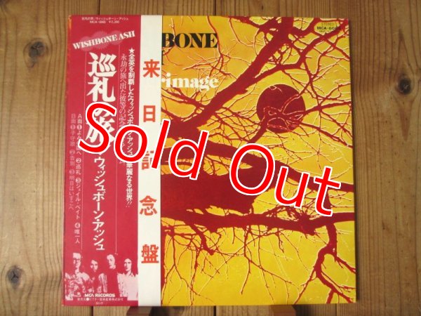 画像1: Wishbone Ash / Pilgrimage (1)
