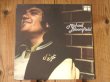 画像1: Michael Bloomfield / Michael Bloomfield (1)