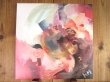 画像1: Jimmy Herring / Subject To Change Without Notice (1)