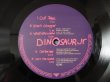 画像3: Dinosaur Jr / Where You Been (3)