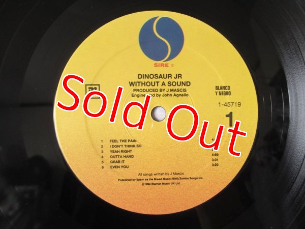 画像3: Dinosaur Jr / Without A Sound (3)