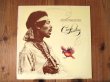 画像1: Jimi Hendrix / Crash Landing (1)