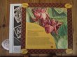 画像2: The Gabby Pahinui Hawaiian Band / Gabby Band Volume 2 (2)