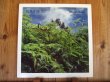 画像1: Bola Sete / Jungle Suite (1)