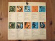 画像2: レア！デフジャケ！■Kenny Burrell / Midnight Blue (2)