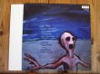画像2: Dinosaur Jr / Where You Been (2)